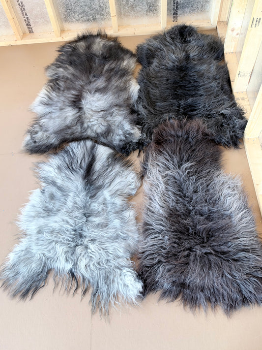 Black and Grey Icelandic Sheepskin Rug
