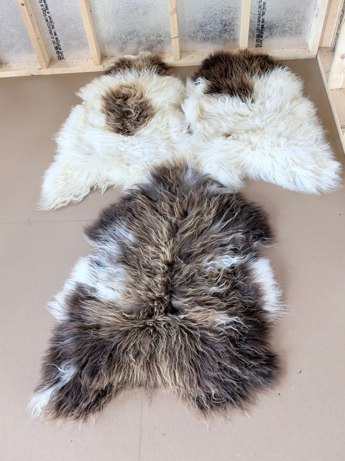 Brown and White Icelandic Sheepskin Rug
